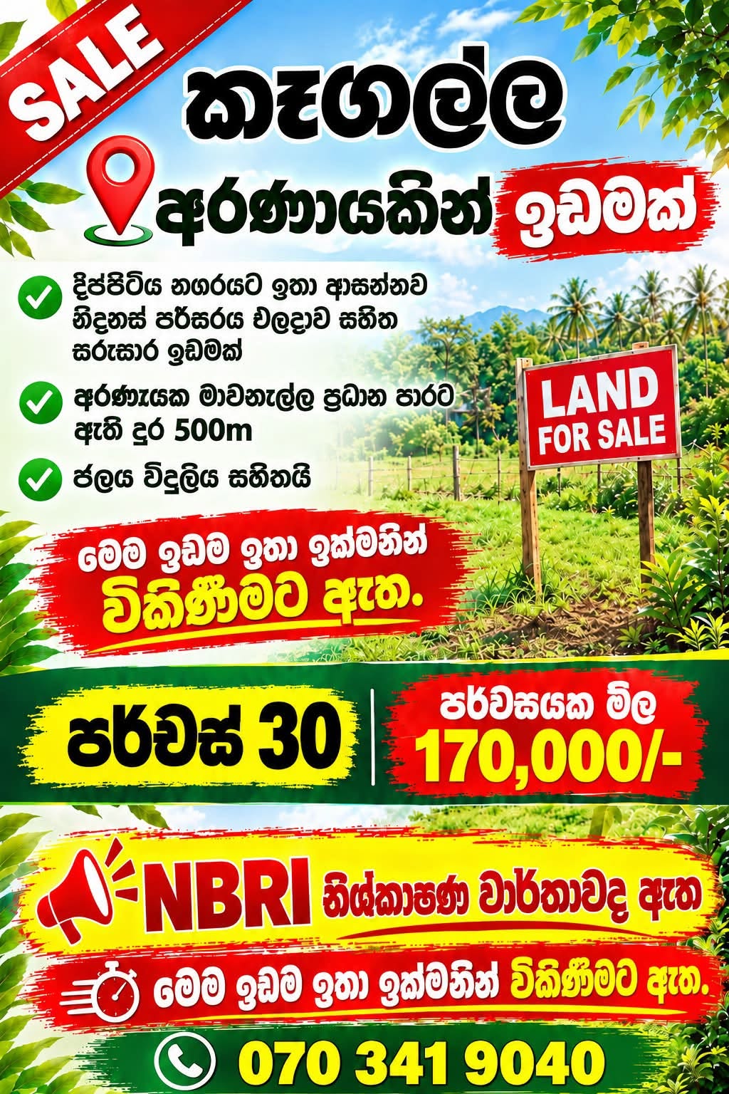 අරනායක දිප්පිටිය නගරයෙන් ස්වභාවික ආපදාවලින් තොර පලදාව සහිත වටිනා ඉඩමක් විකිණීමට