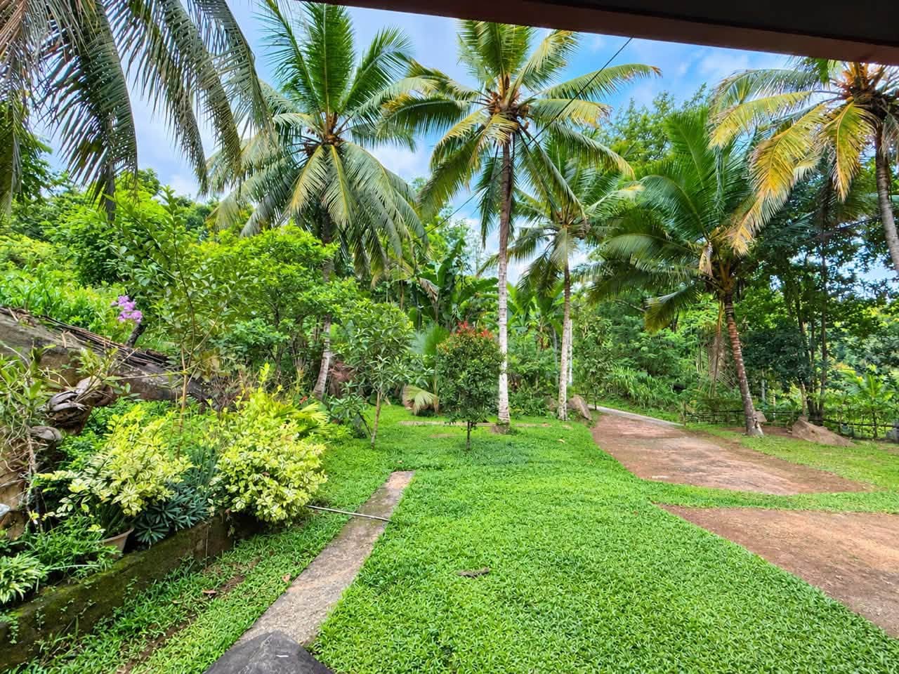 කෑගල්ල නගරයට ආසන්නව අගනා නිස්කලංක ඉඩමක් විකිණීමට!