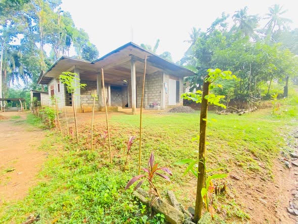 අඩක් නිම කළ නිවසක් ඉක්මනින් විකිණීමට ඇත!
