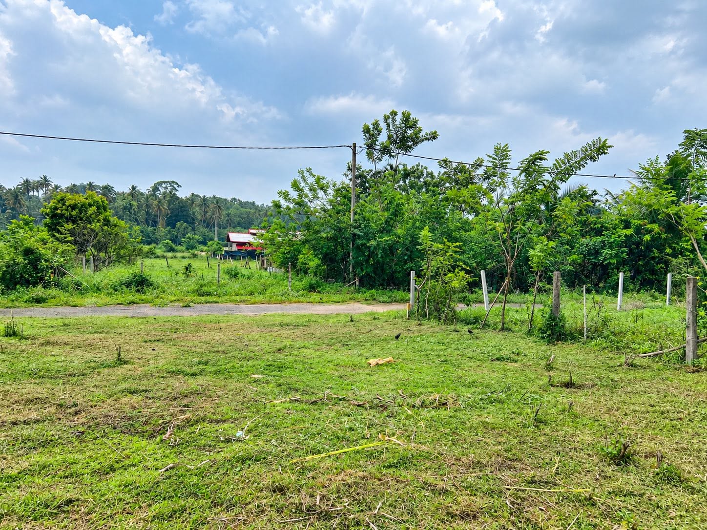 නාරම්මල නගරයට ආසන්නයෙන් අගනා ඉඩමක් විකිණීමට!
